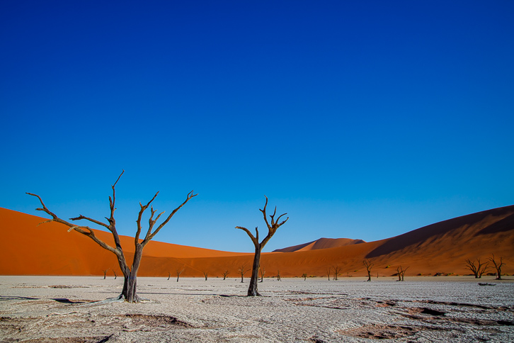 Deadvlei Namibia