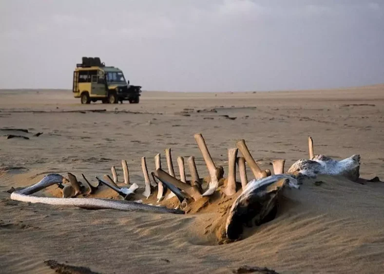 Skeleton Coast